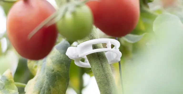 Go to Agriculture (New window)